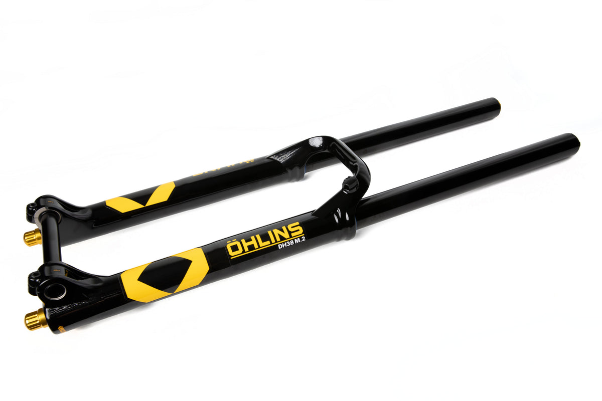 RXF/DH38 Downhill Federgabel